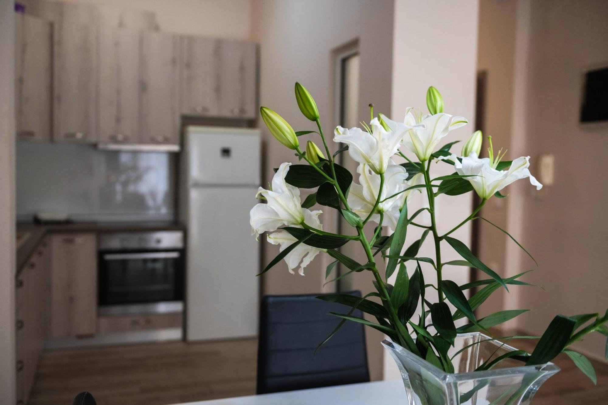 Central Luxurious Suite Near Lighthouse Alexandroupolis Exteriör bild